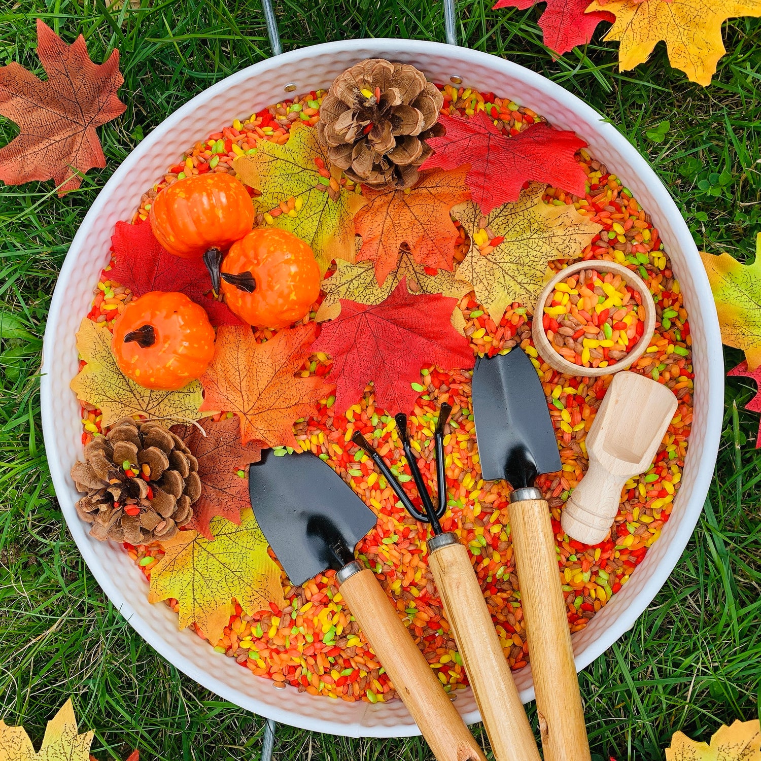 Autumn