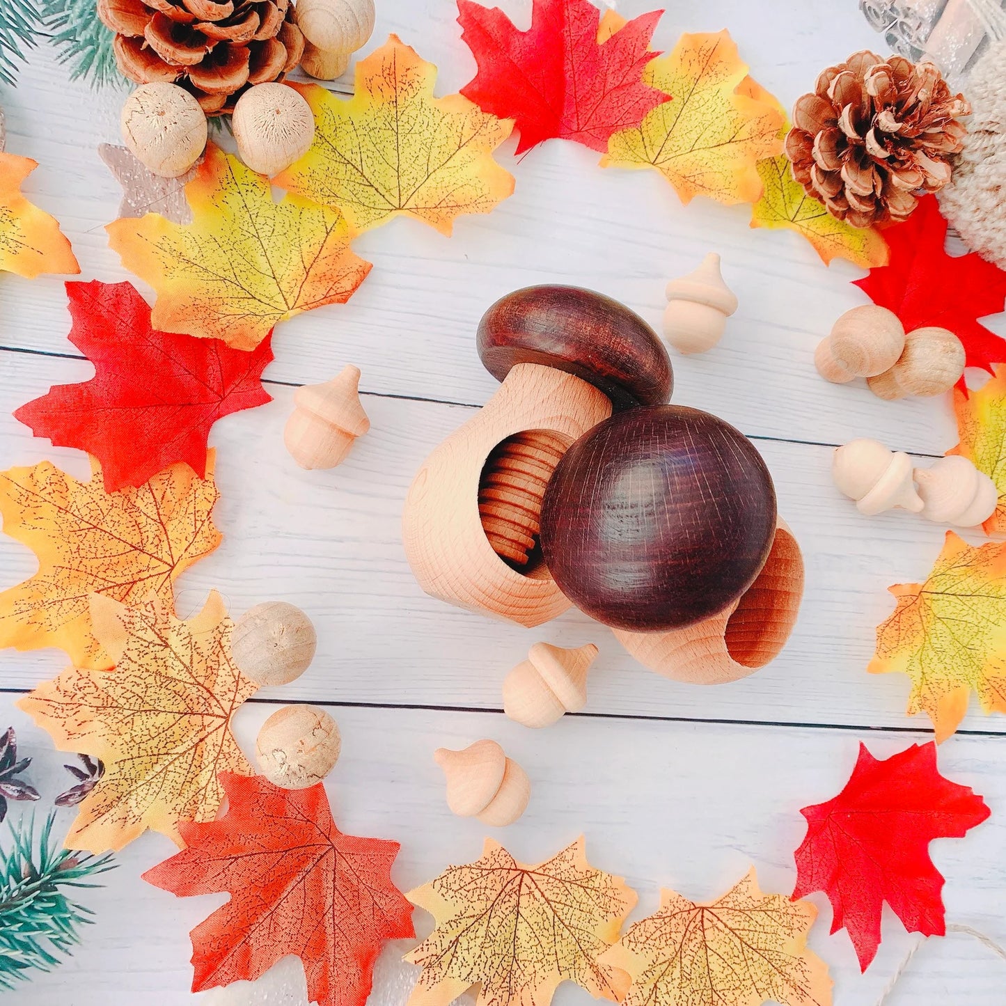woode nutcracker mushroom nutcracker