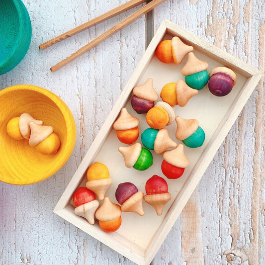 Wooden Acorns Counters Handpainted loose partt wooden acorns loose part play counting numbers