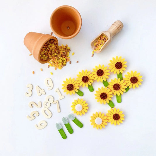 Sunflower Sensory Rice