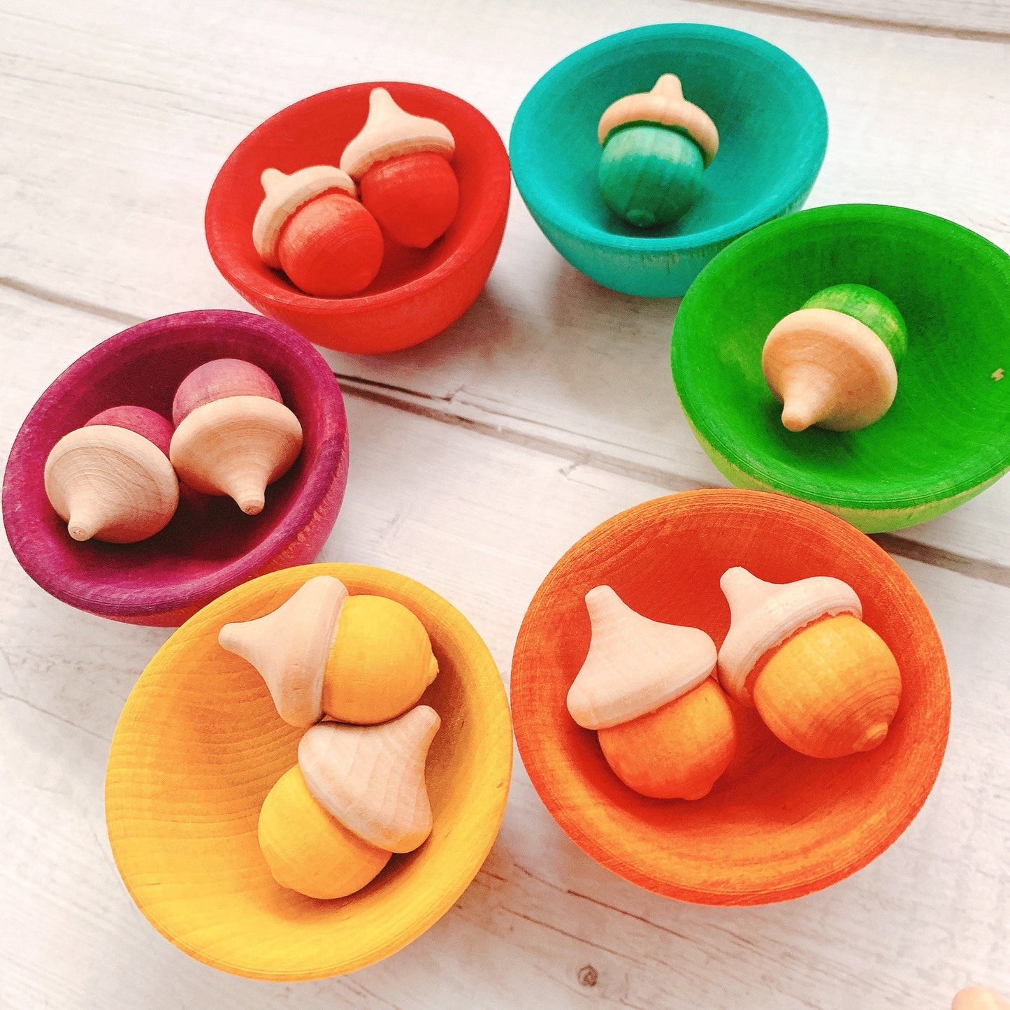 Colour Sorting Bowls & Acorns