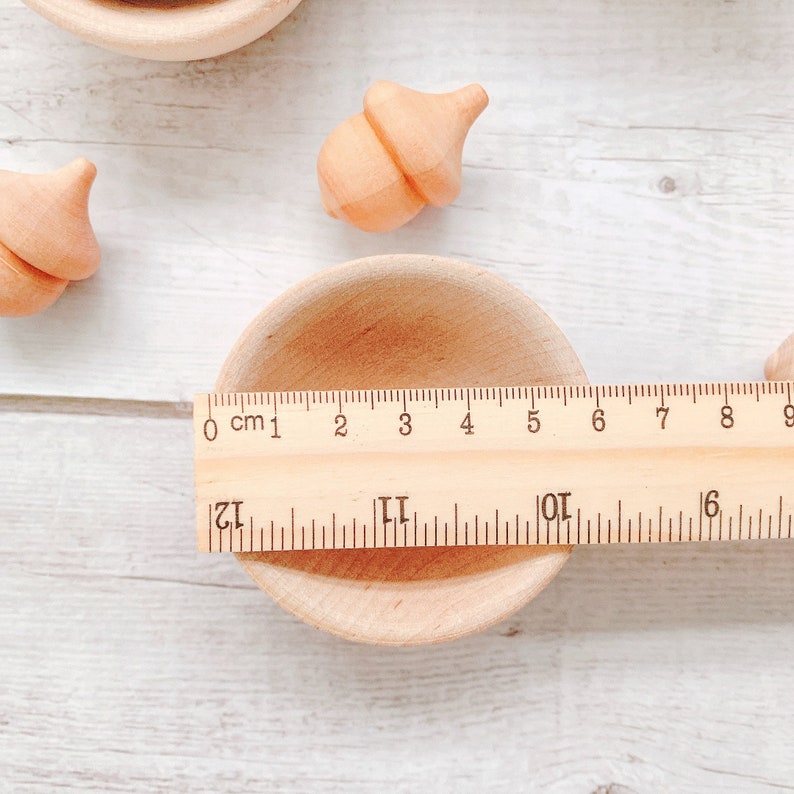 Colour Sorting Bowls & Acorns